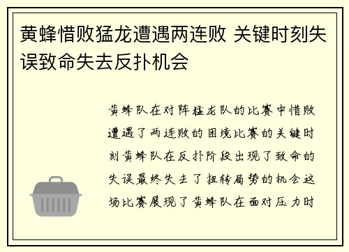 黄蜂惜败猛龙遭遇两连败 关键时刻失误致命失去反扑机会